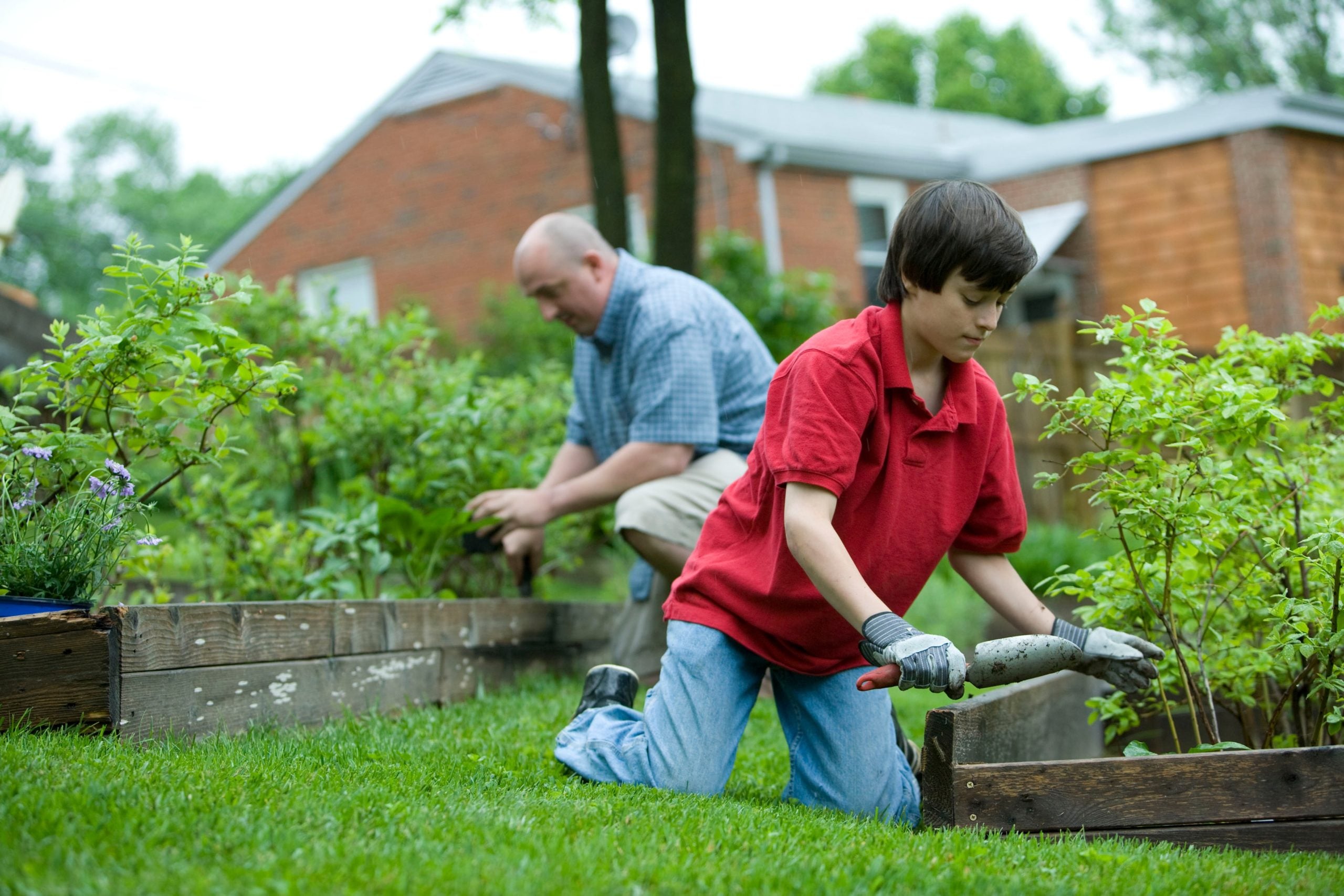 How to Create a Home Health Care Plan for an Elderly Family Member