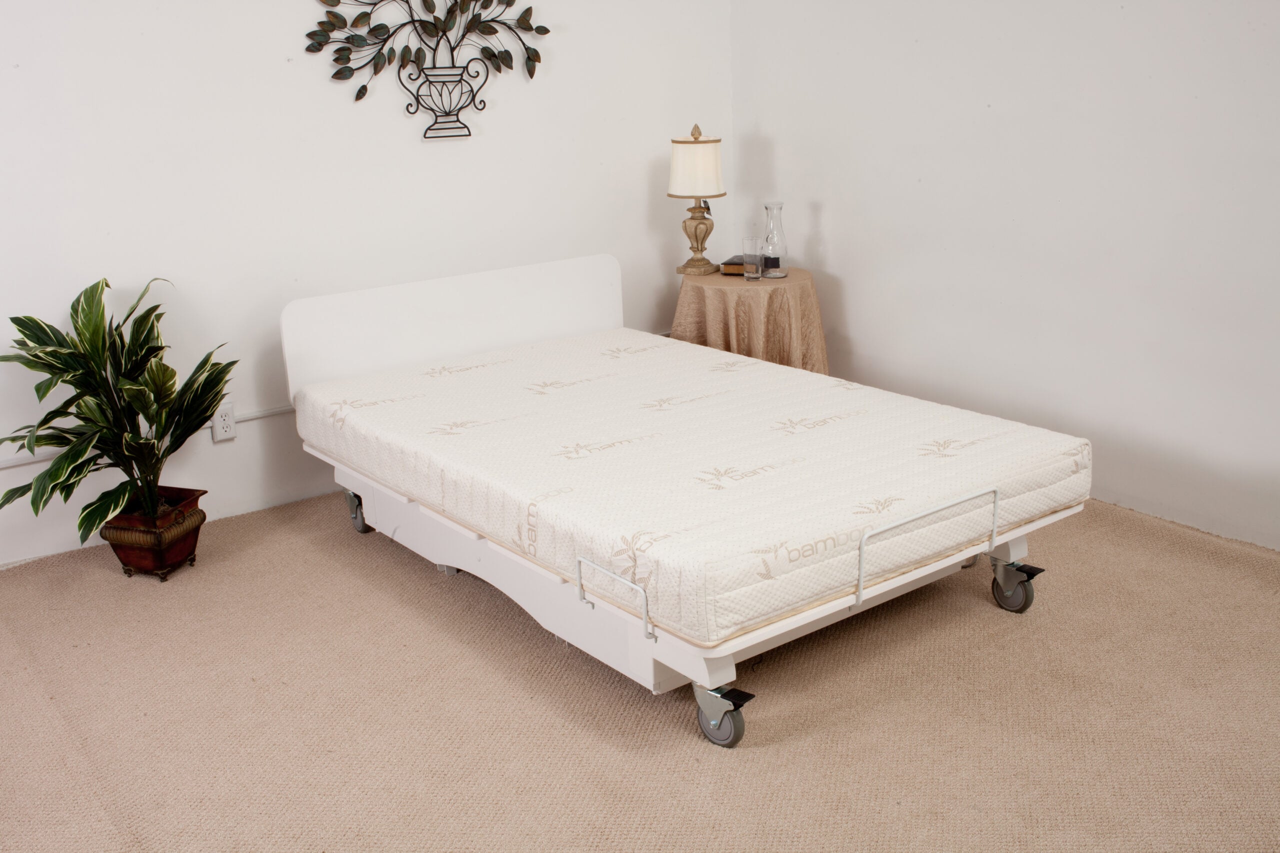 Senior Mobility Solutions