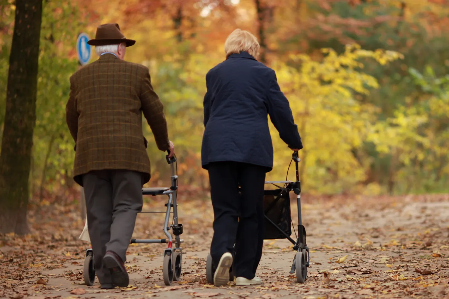 Choosing Between a Rollator and a Walker: Key Differences Explained